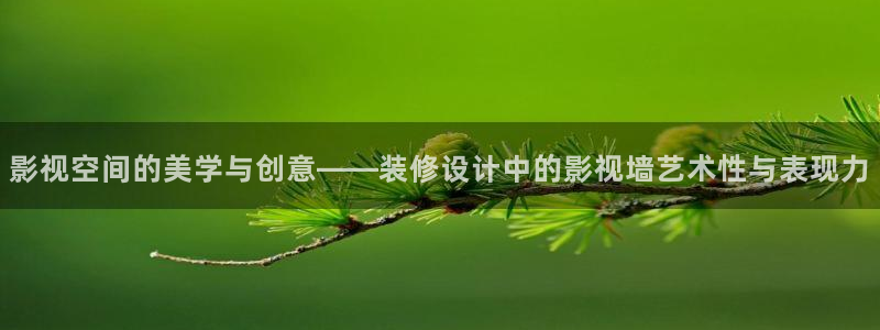 老湿影院高清：影视空间的美学与创意——装修设计中的影视墙艺术性与表现力