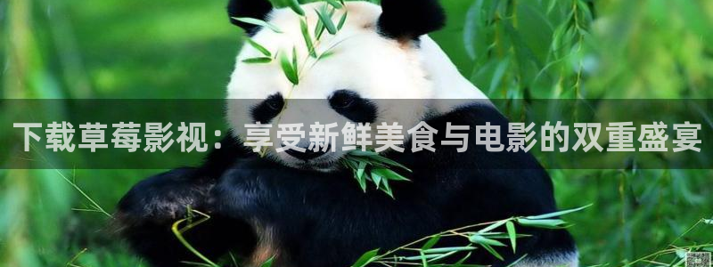 老湿影院48试：下载草莓影视：享受新鲜美食与电影的双重盛宴