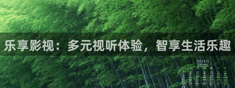 老湿影院午夜：乐享影视：多元视听体验，智享生活乐趣
