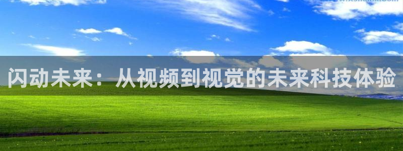 老湿影院体验区：闪动未来：从视频到视觉的未来科技体验