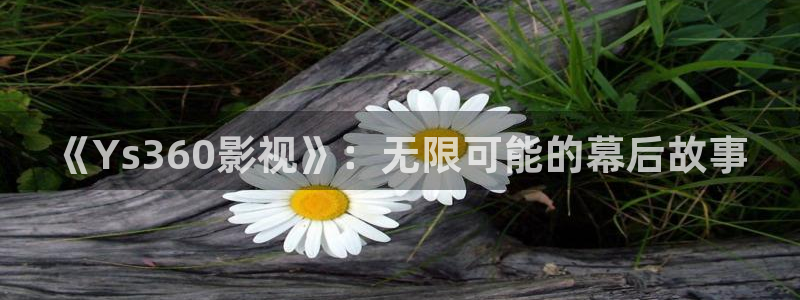 老湿风月影院