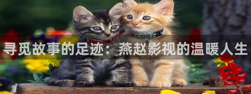 老湿视频在线观看