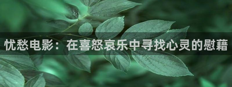 免费老湿影院