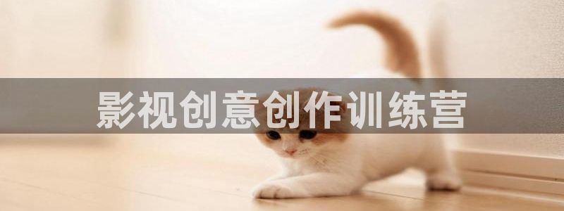 老湿a影院在线观看：影视创意创作训练营