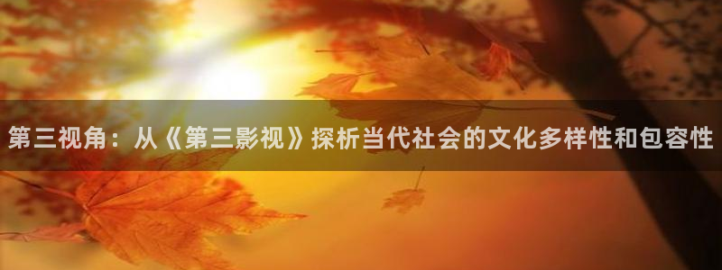 老湿机影视免费看：第三视角：从《第三影视》探析当代社会的文化多样性和包容性