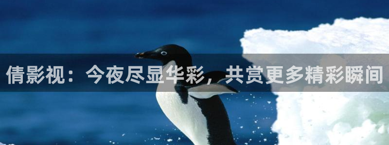 老湿影院十分钟：倩影视：今夜尽显华彩，共赏更多精彩瞬间