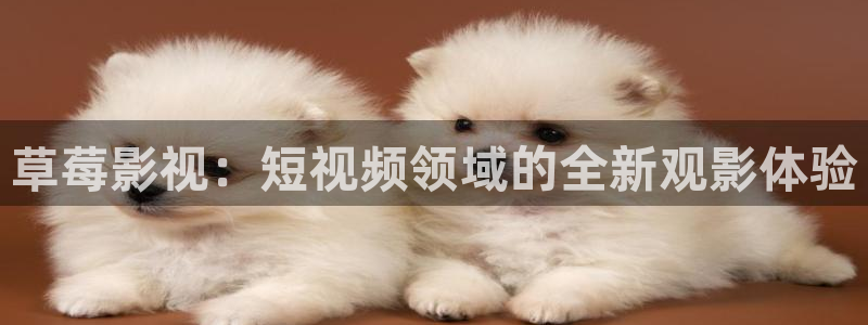 老湿成人影院：草莓影视：短视频领域的全新观影体验