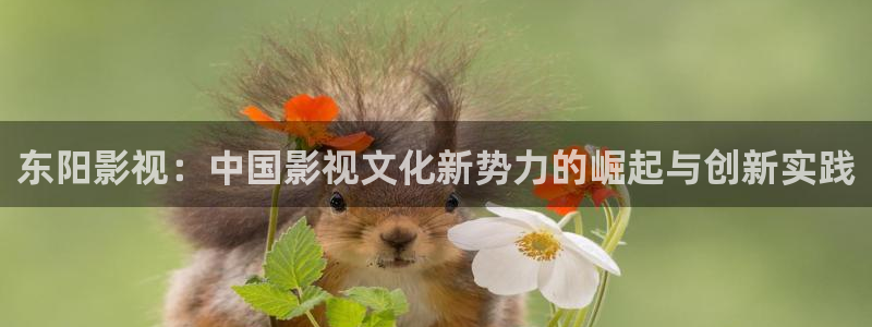 老湿影院免费